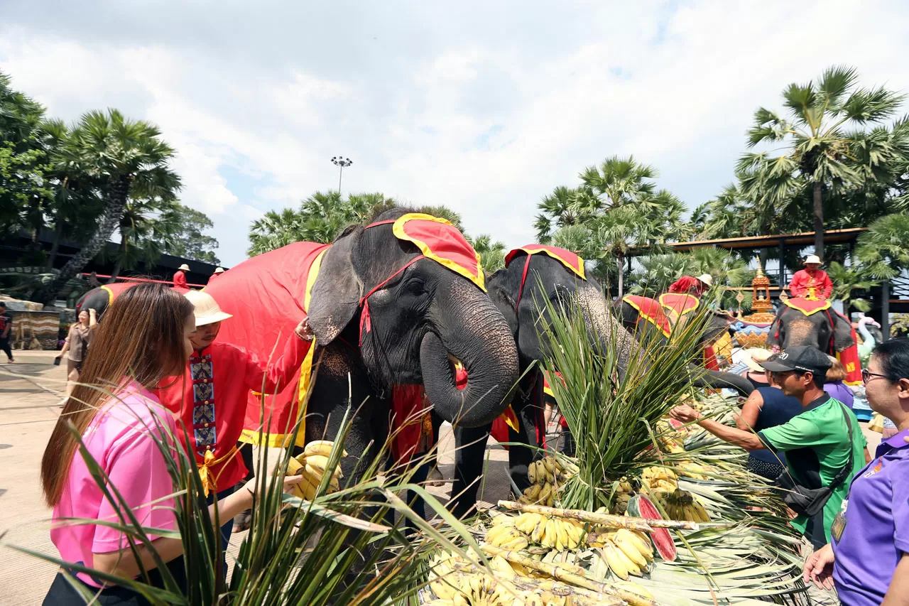 Perayaan Hari Gajah...