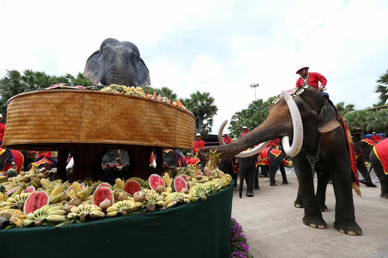 Perayaan Hari Gajah...