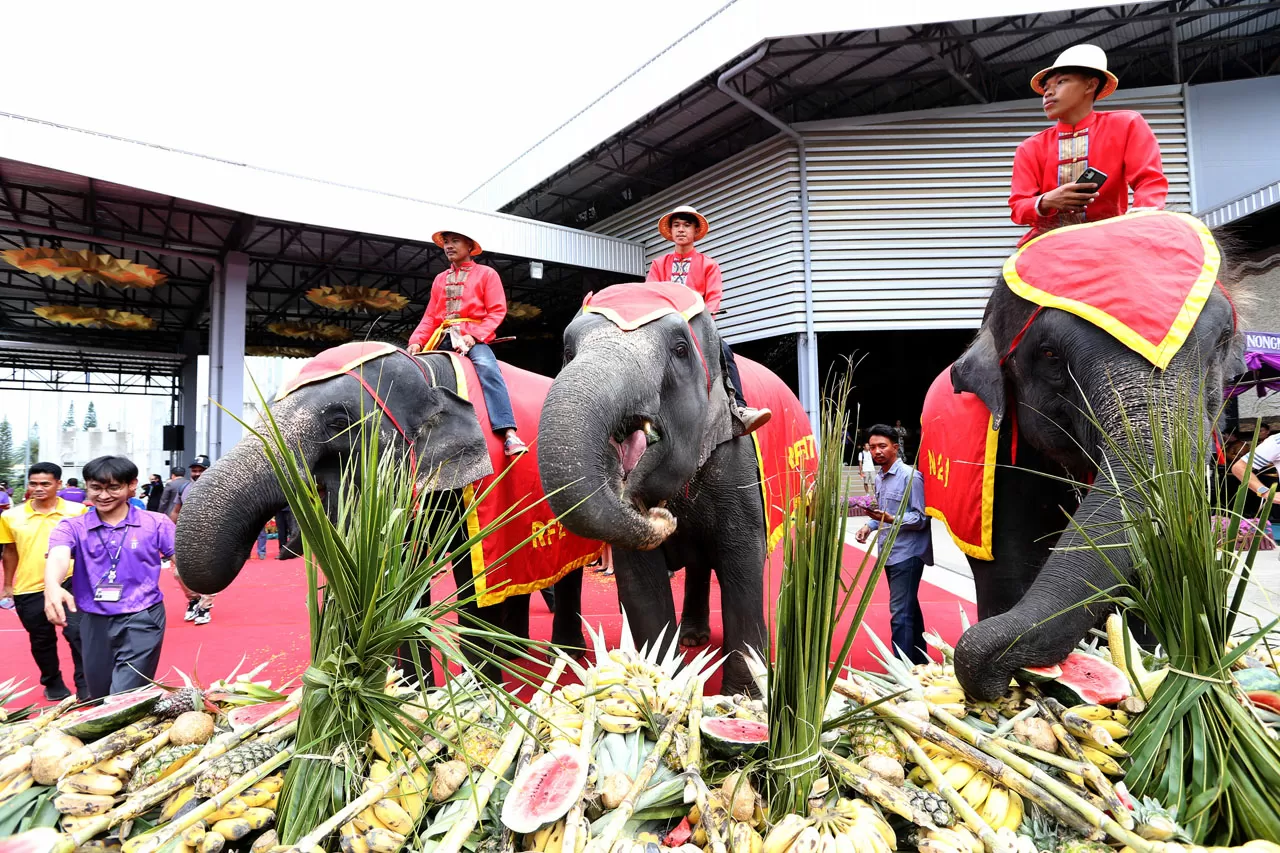 Perayaan Hari Gajah...