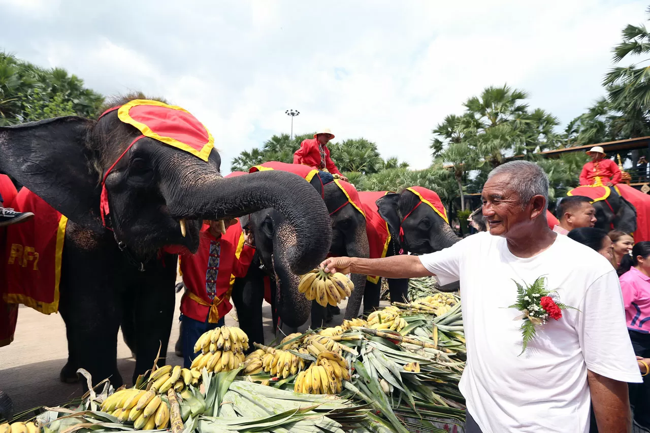 Perayaan Hari Gajah...