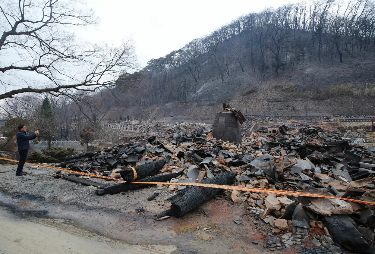 Tragedi Kebakaran Hutan...