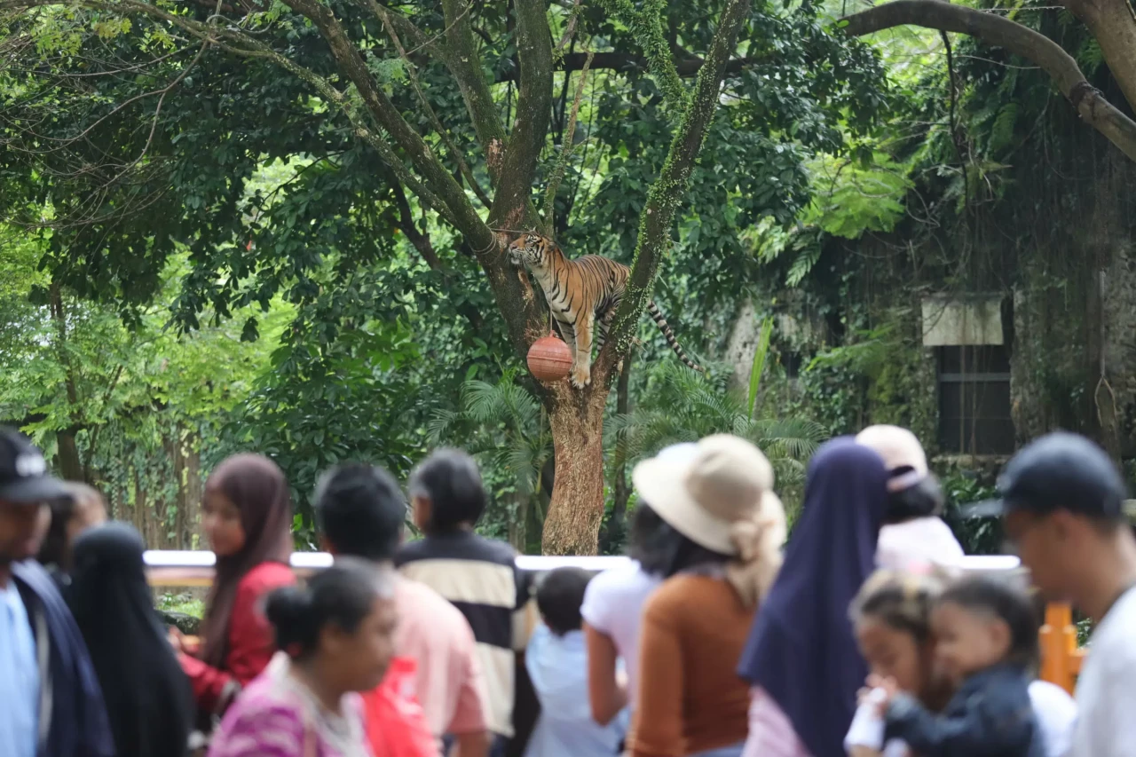 95 Ribu Pengunjung Datangi...