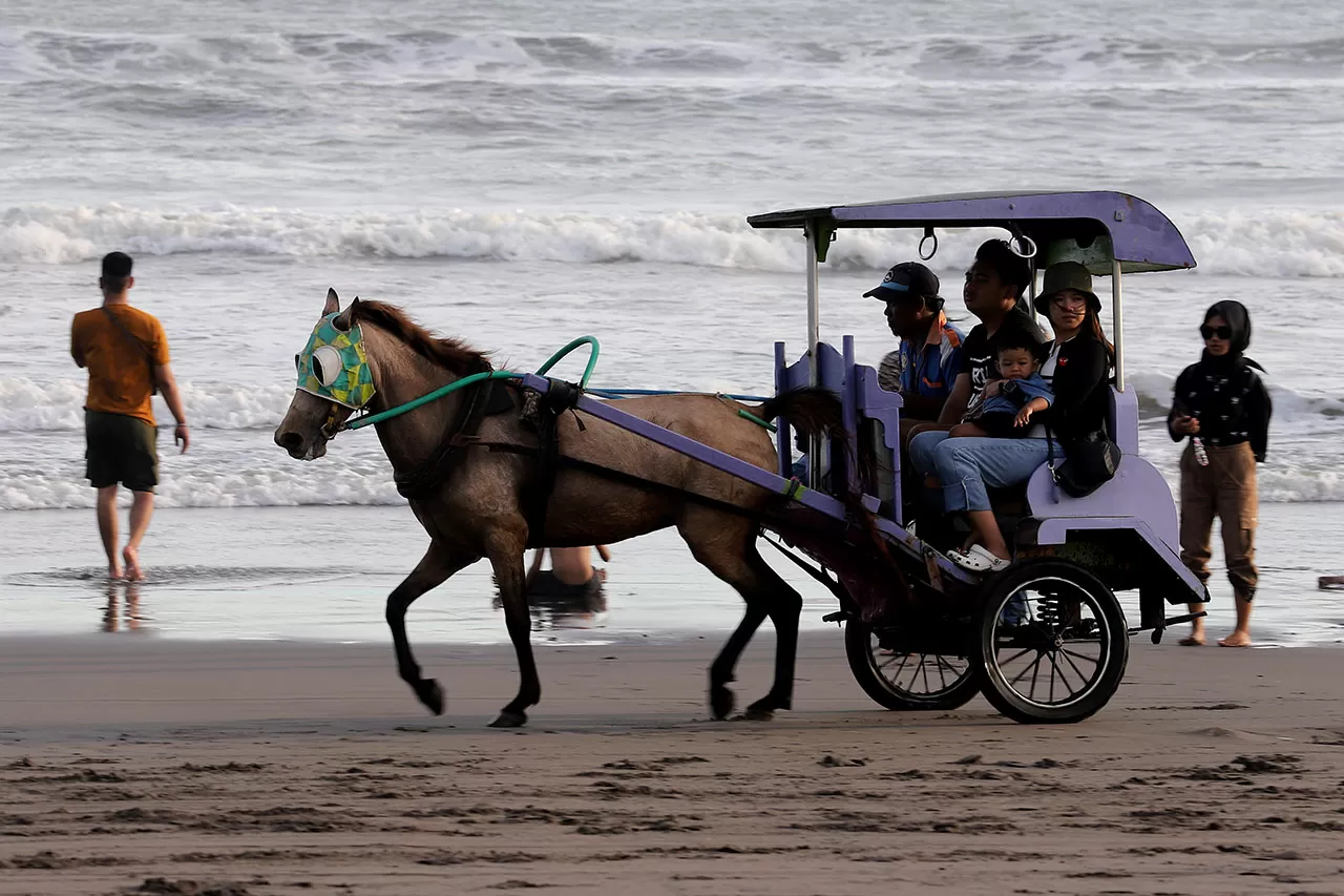 Wisata Delman di Pantai...