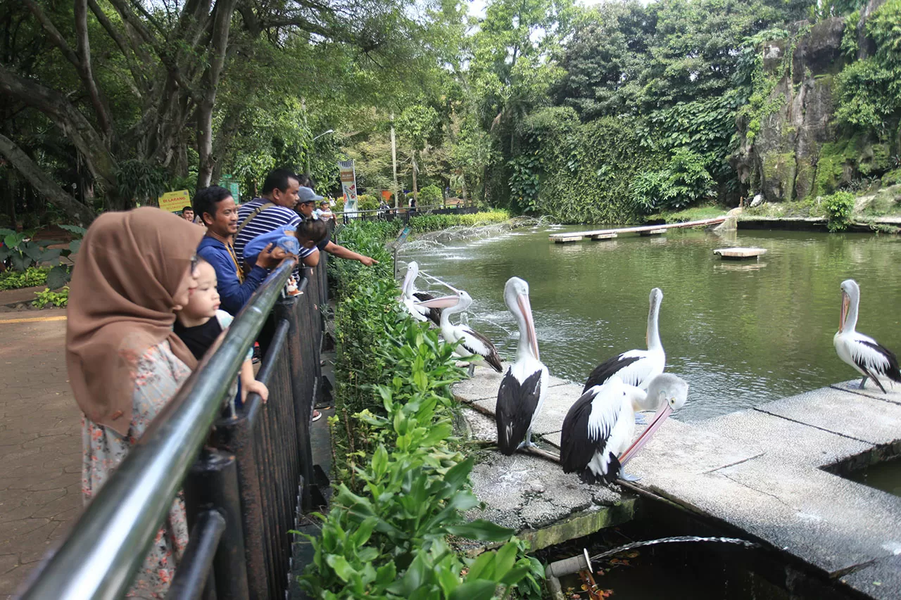 19 Ribu Pengunjung Kunjungi...