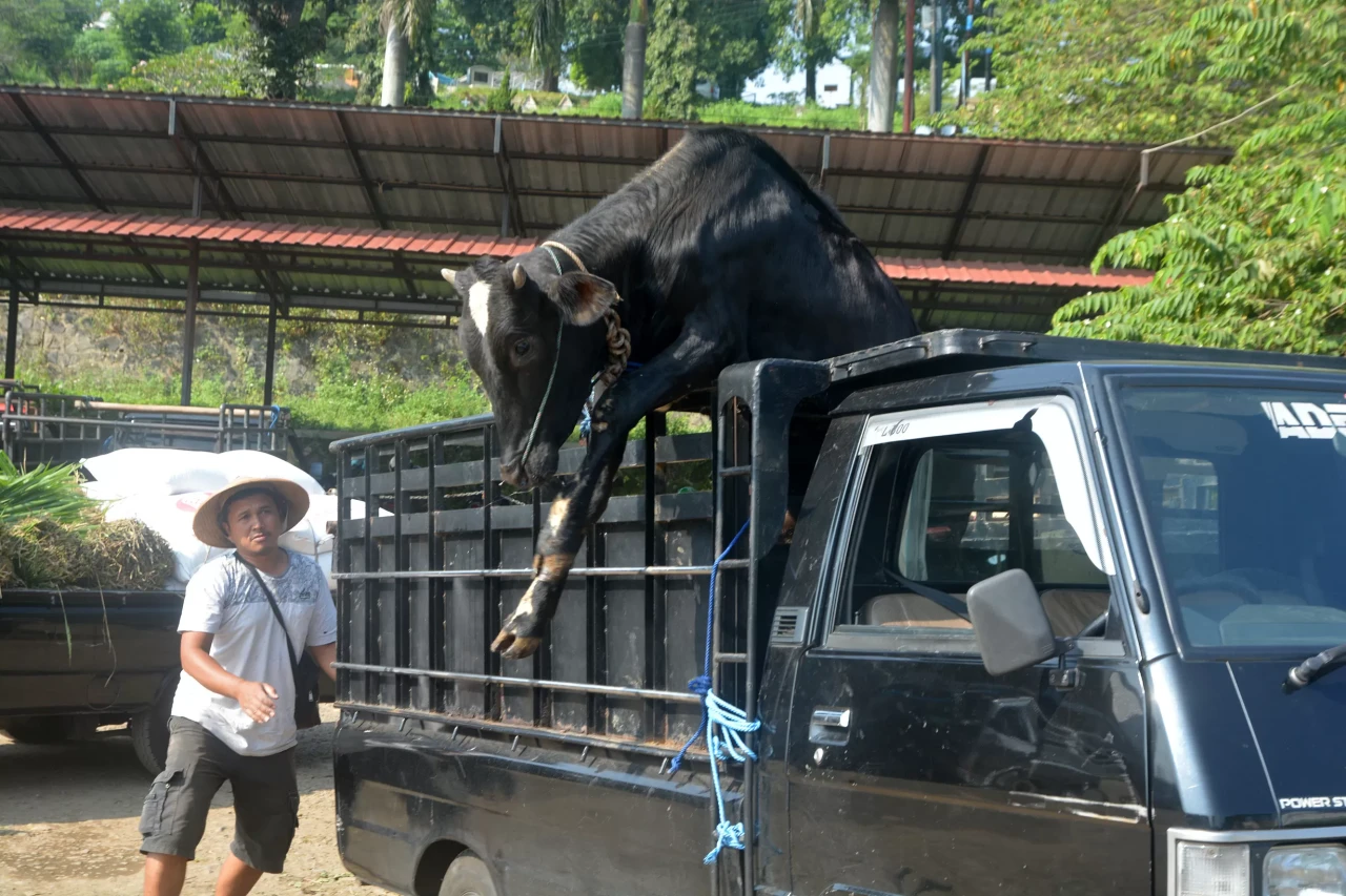 Potret Aktivitas Jual...