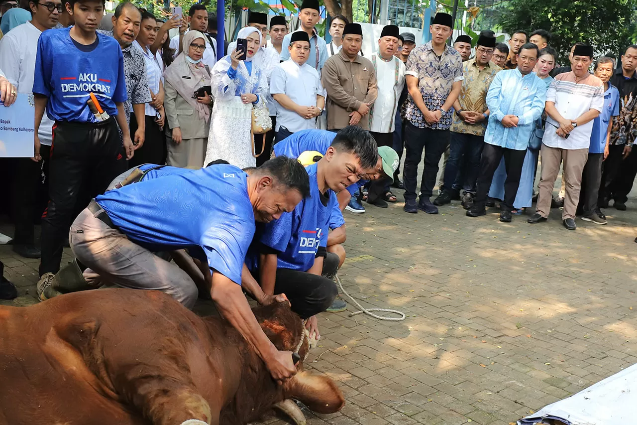 AHY Saksikan Penyembelihan...