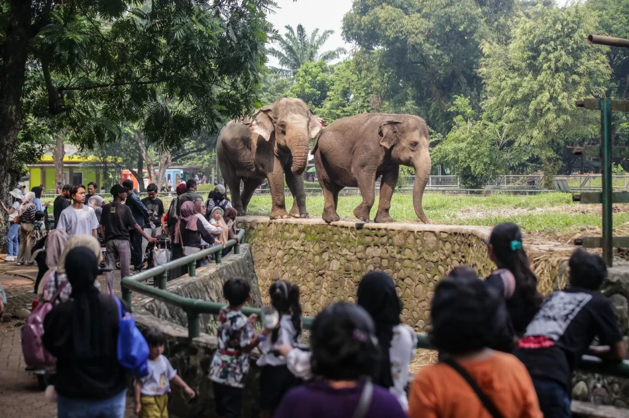 Ragunan Tak Tutup Senin...
