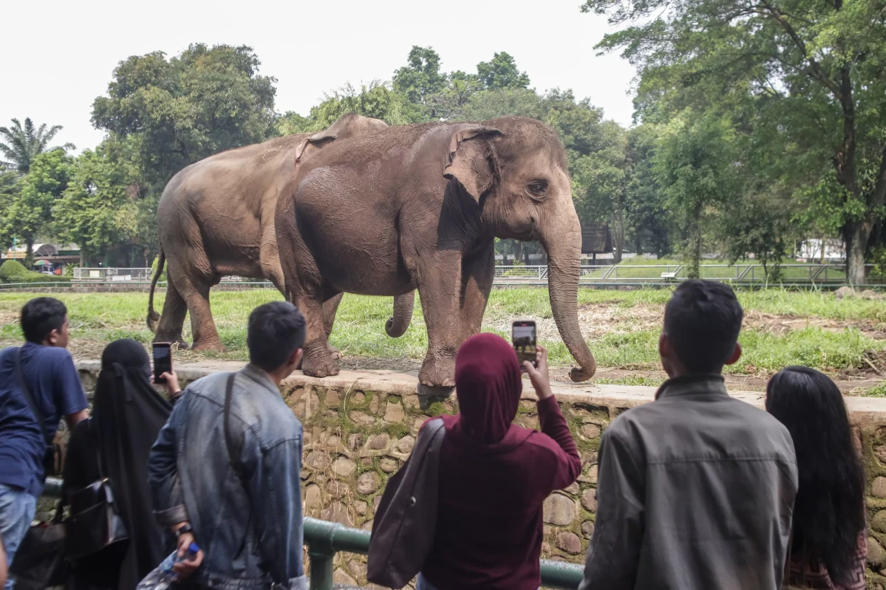 Ragunan Tak Tutup Senin...