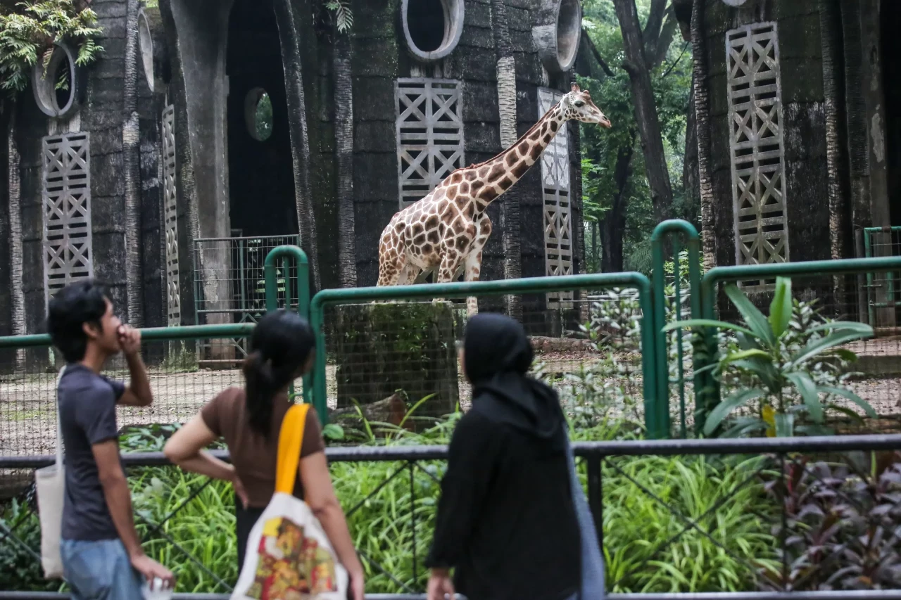 Ragunan Tak Tutup Senin...