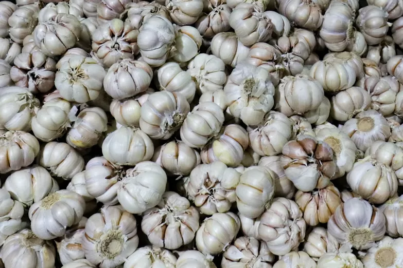 Realisasi Impor Bawang...