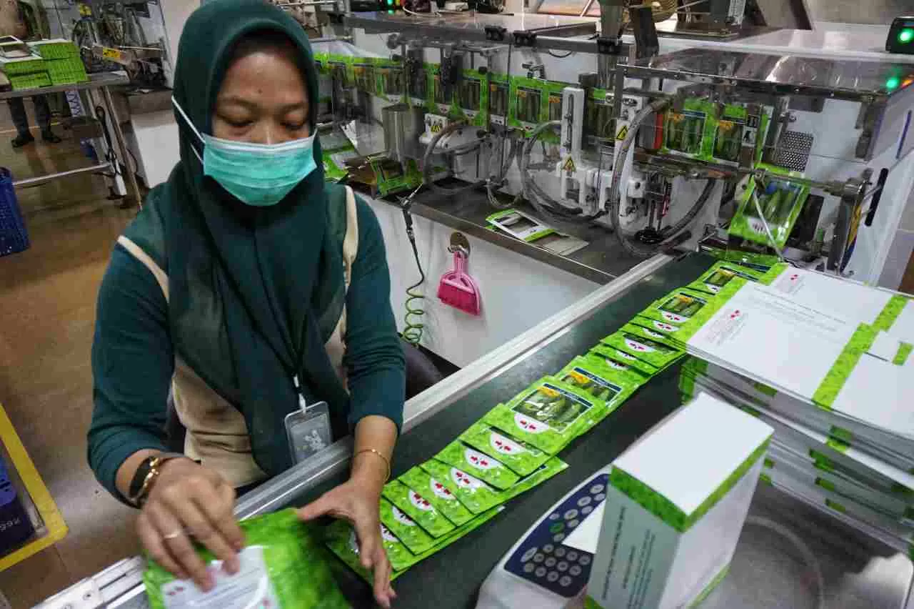Misi Perdagangan Belanda...
