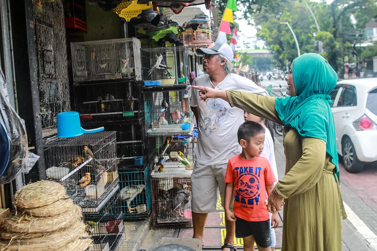 Pasar Hewan Barito Segera...
