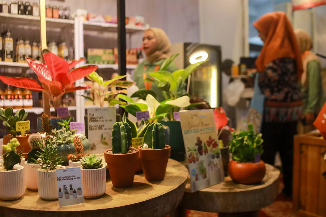 Festival Urban Farming,...