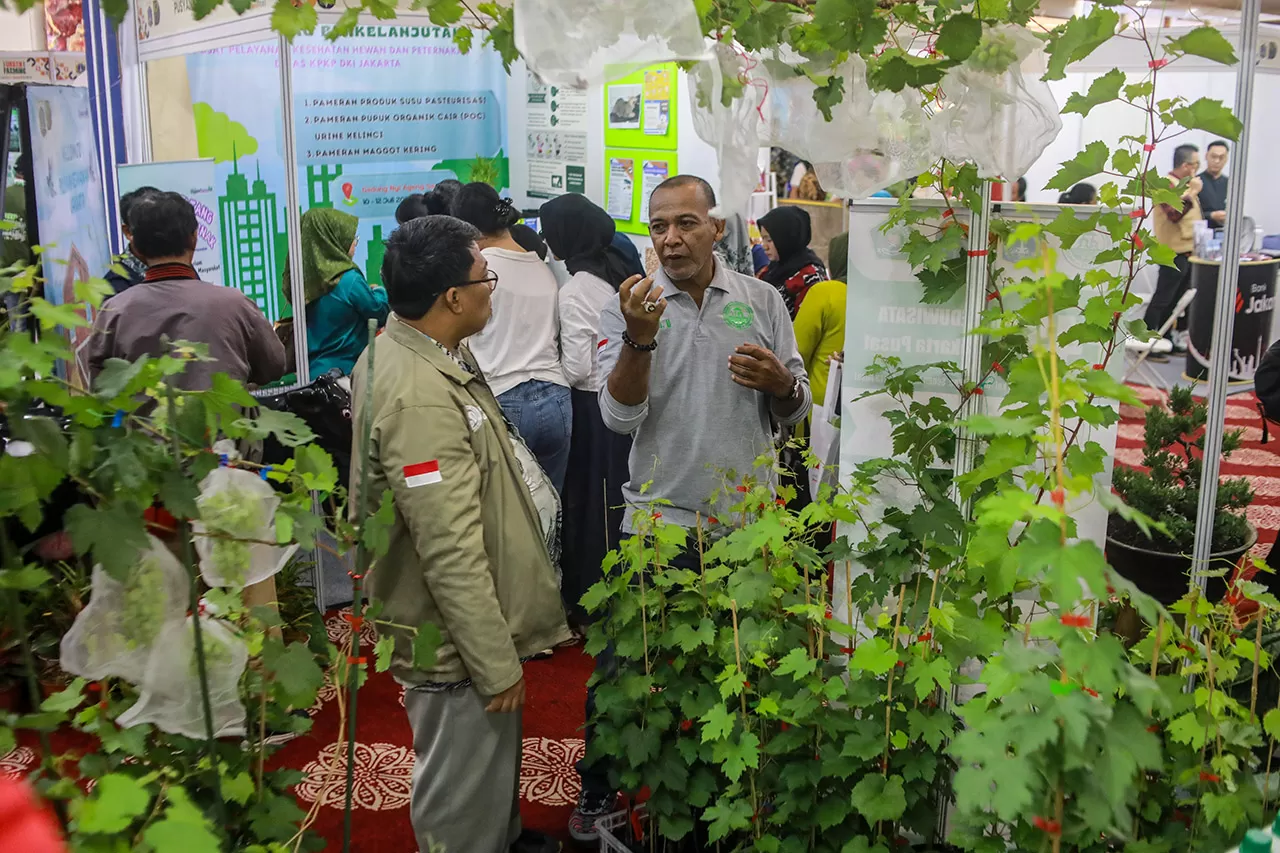 Festival Urban Farming,...