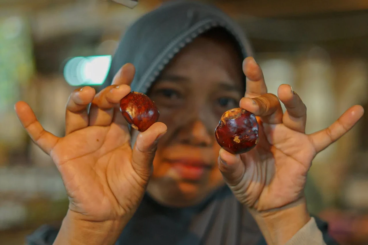 Harga Jengkol Tembus...