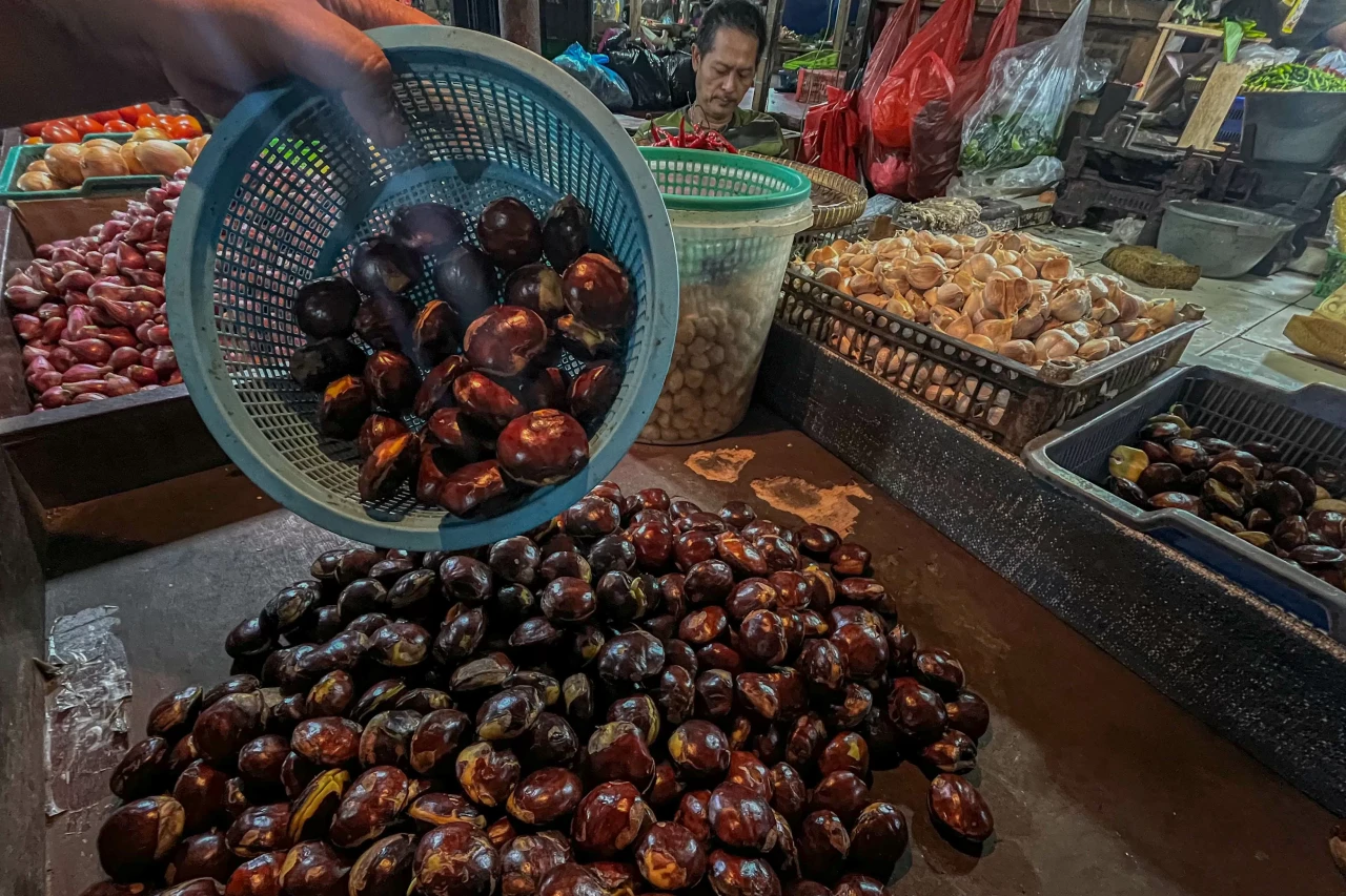 Harga Jengkol Tembus...