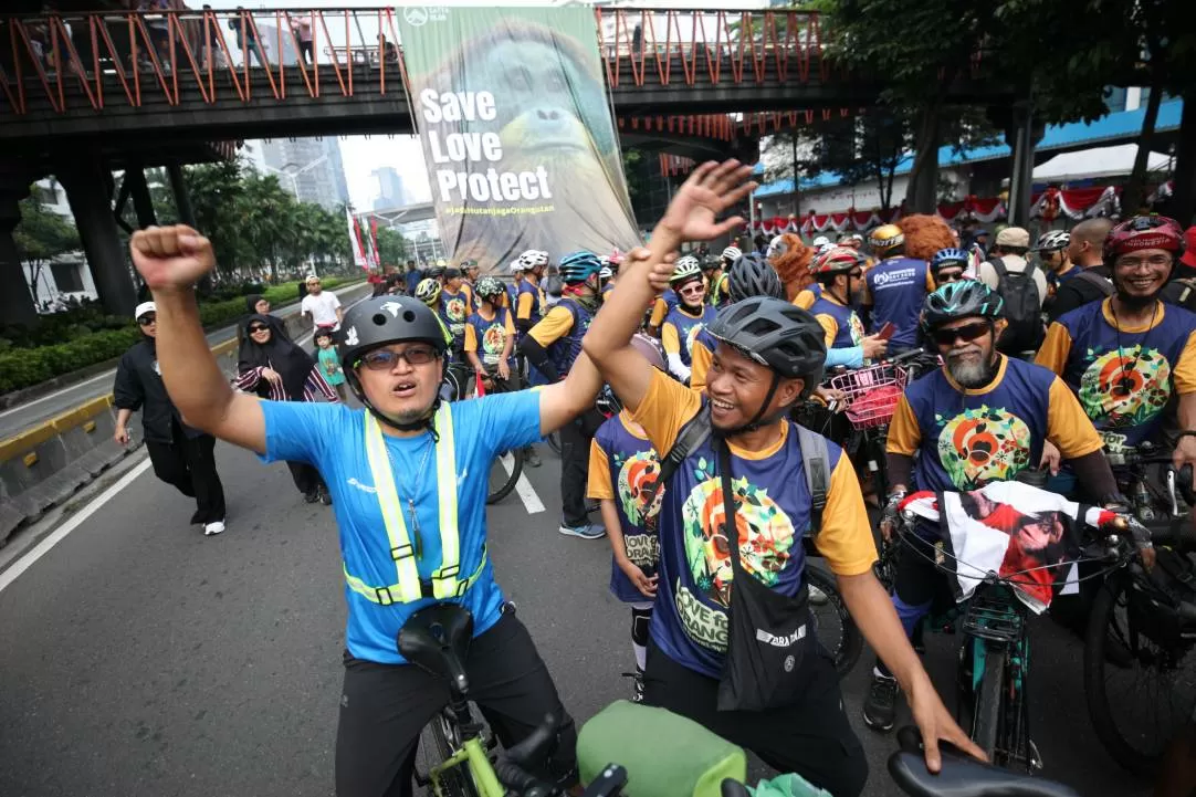 Peringatan Hari Orangutan...