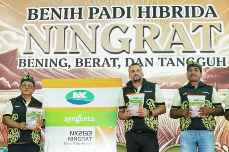 Panen Perdana Padi Hibrida...