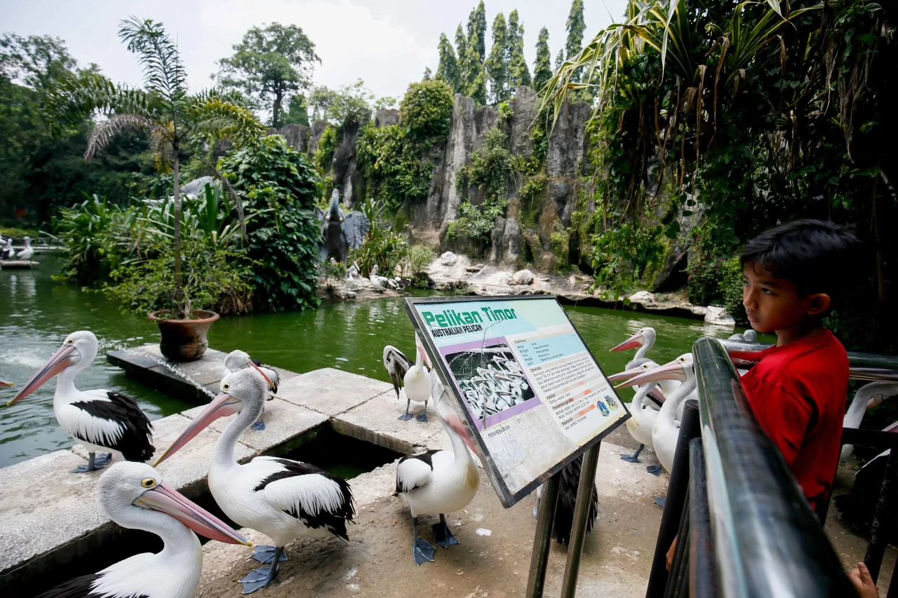 Pengunjung Padati Taman...