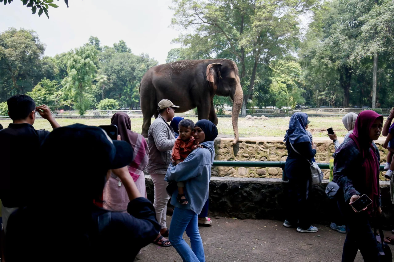 Pengunjung Padati Taman...
