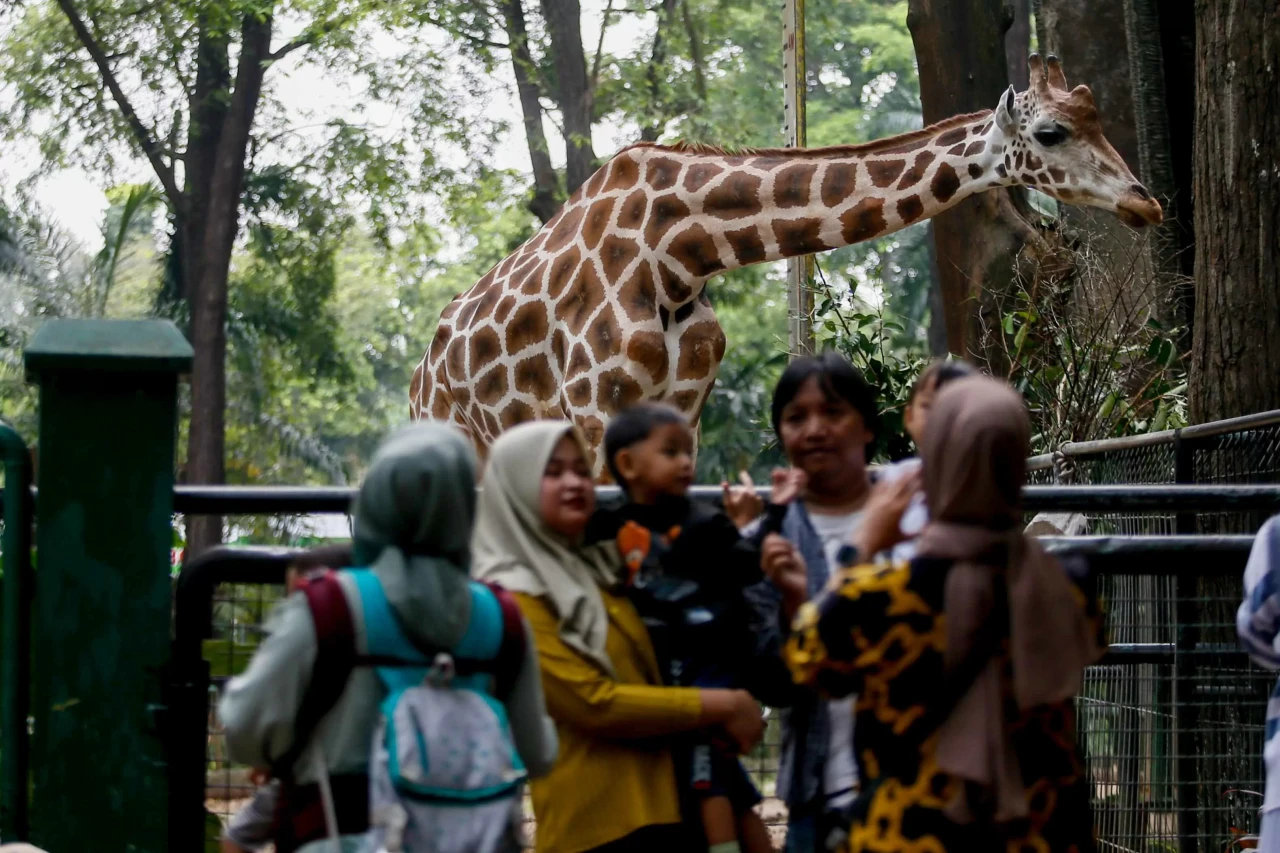 Pengunjung Padati Taman...