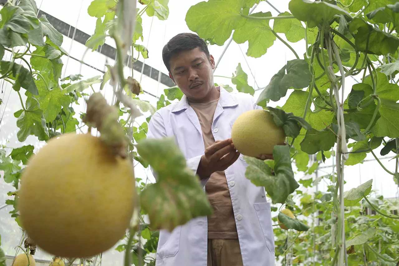 Agro Edukasi Wisata...