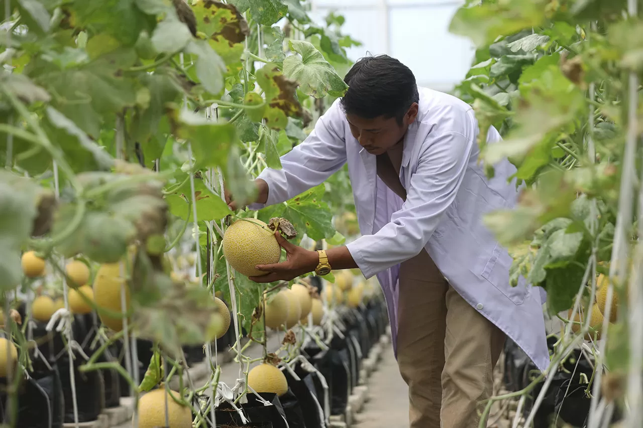 Agro Edukasi Wisata...