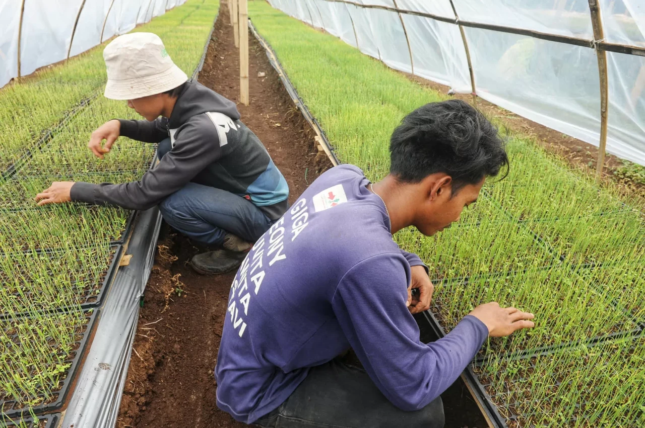 Delegasi 20 Negara Pelajari...