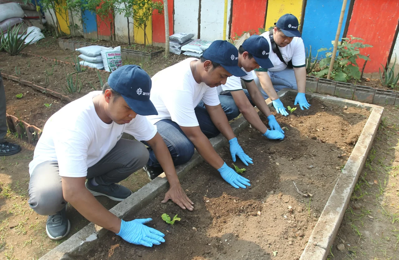 ANTAM Gelar Urban Farming...