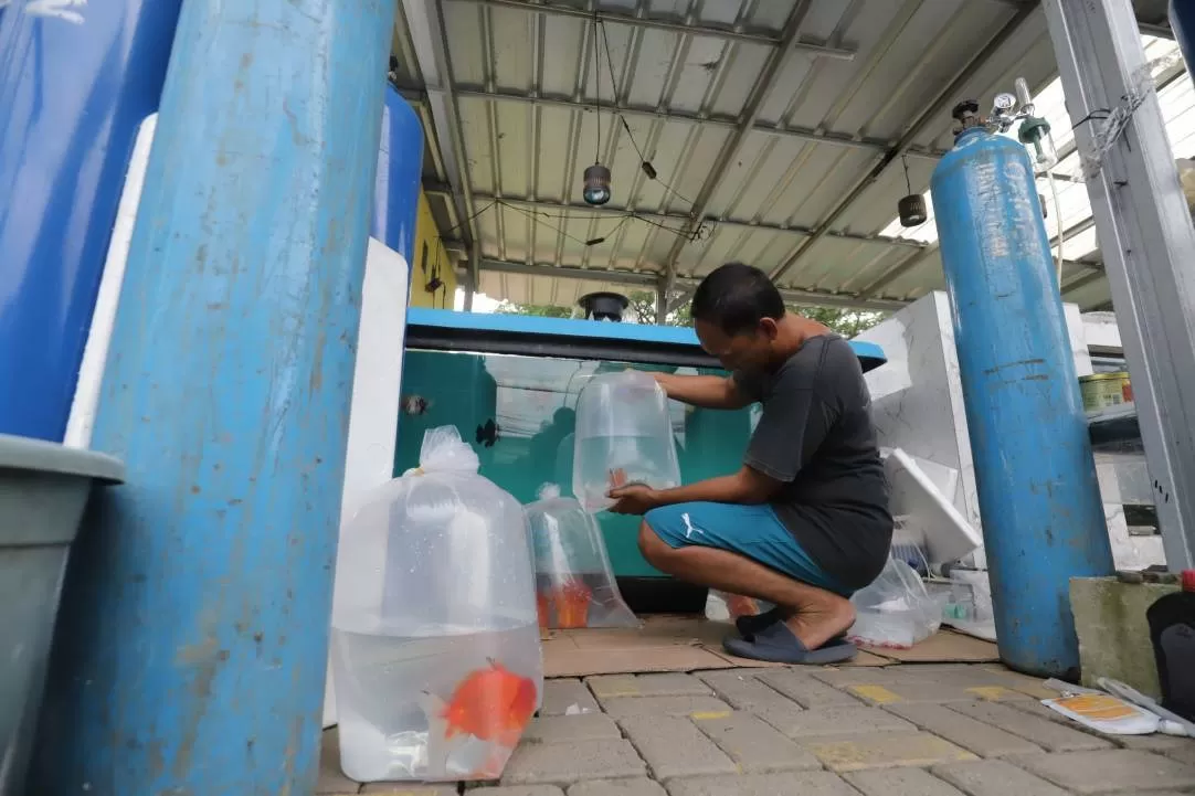Dari Kolam Kecil ke...