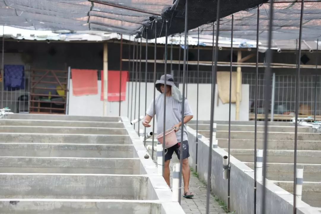 Dari Kolam Kecil ke...