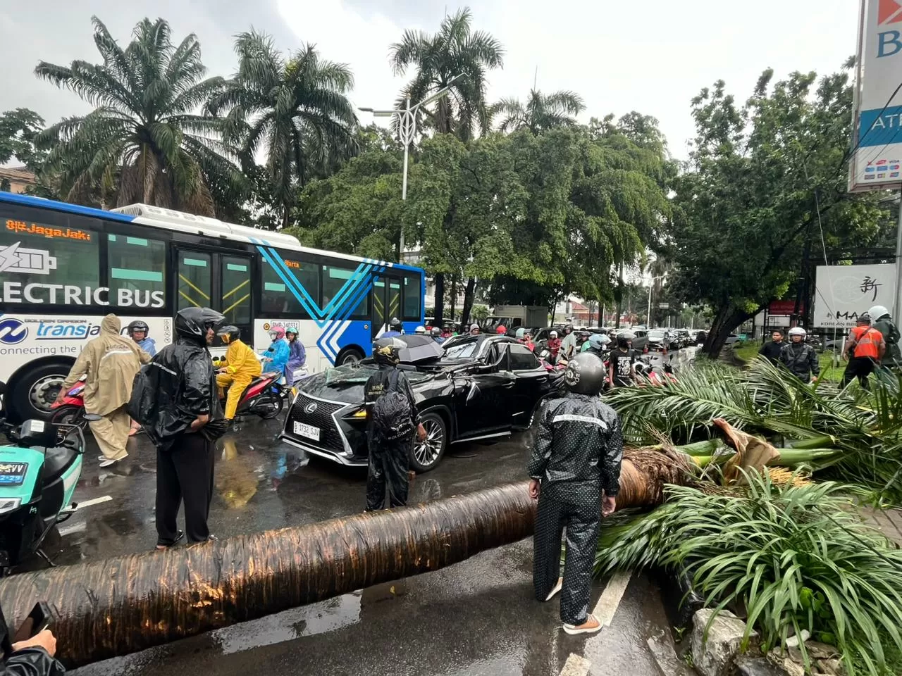 Pengendara Mobil Lexus...