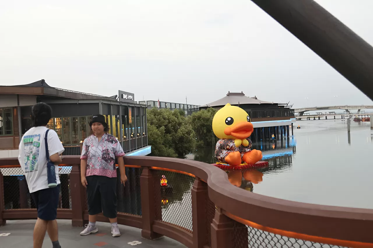 B.Duck Playful Carnival...
