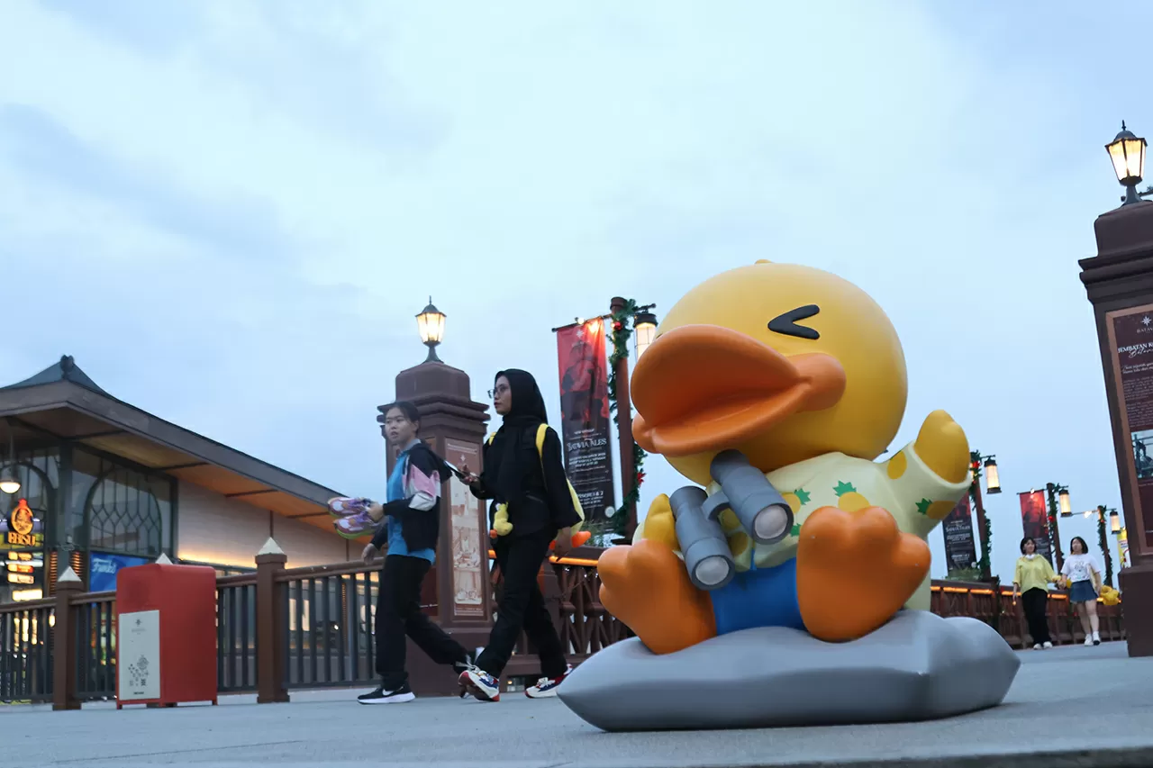 B.Duck Playful Carnival...