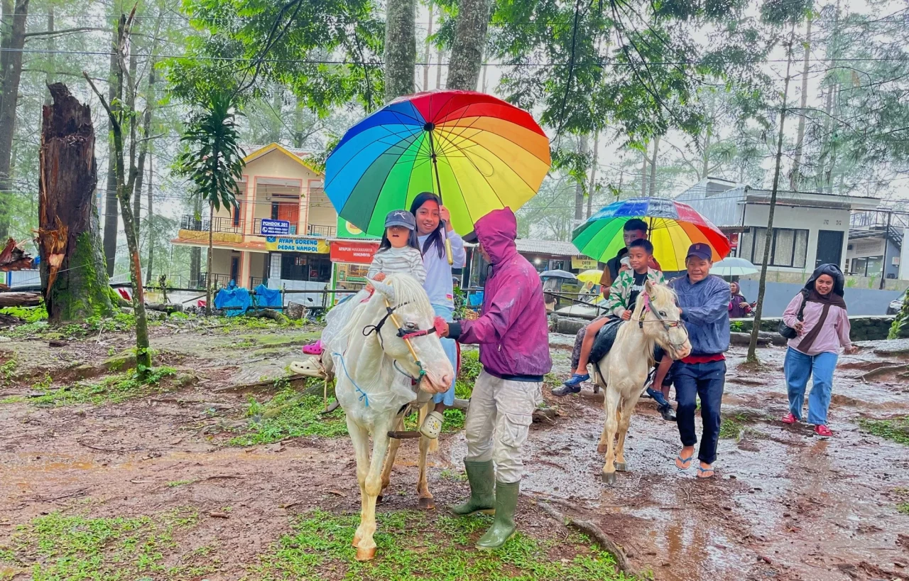 Wisata Berkuda Jadi...
