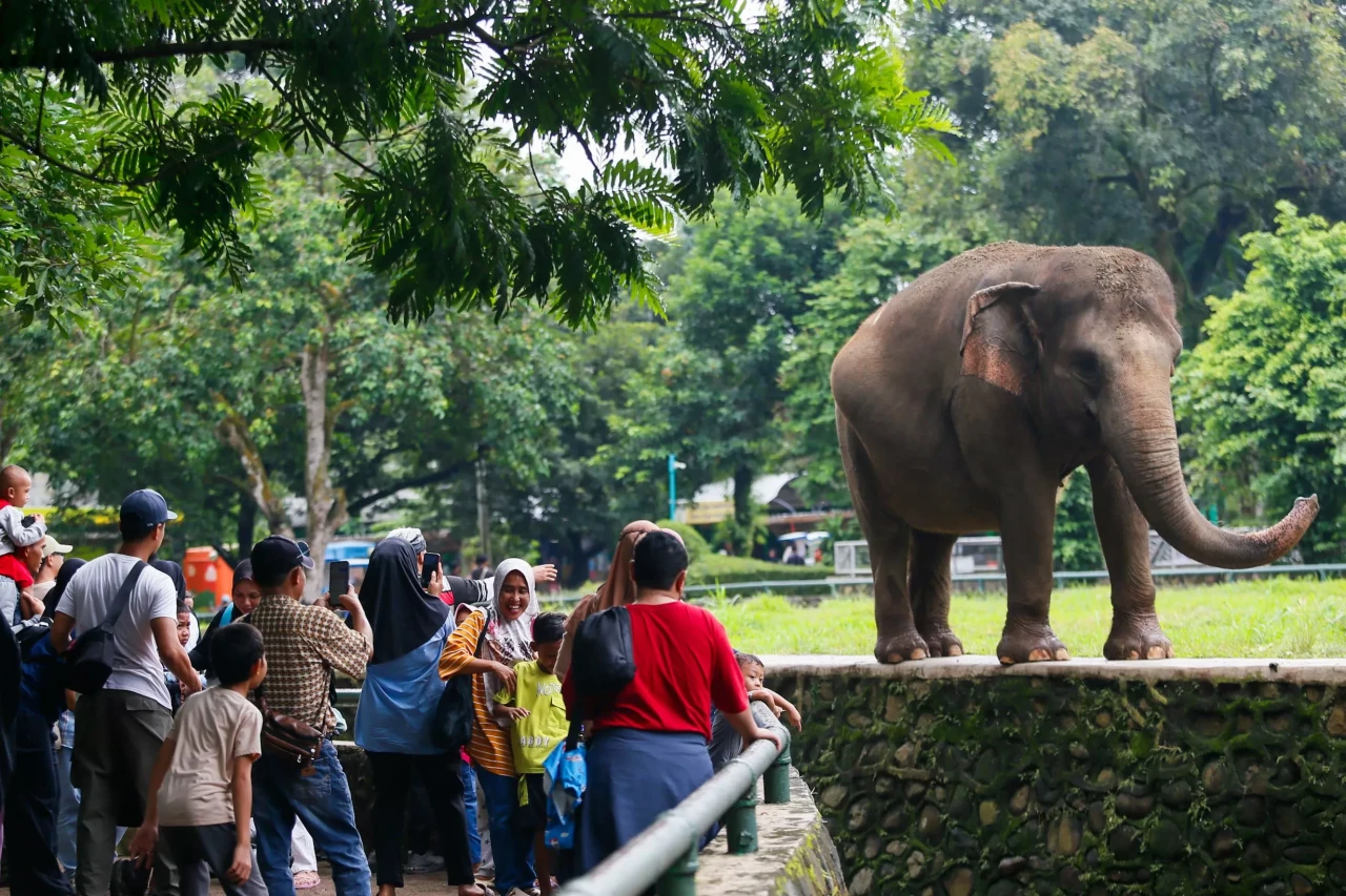 Pengunjung Taman Margasatwa...