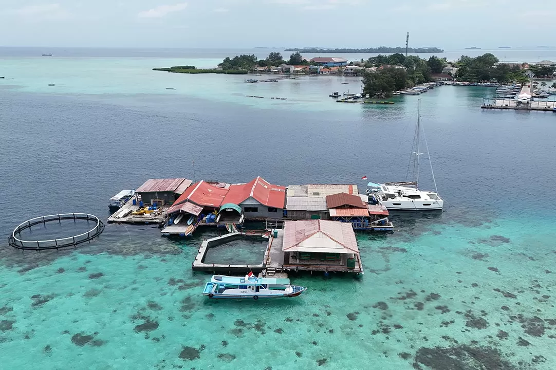 Potret Kepadatan Pulau...