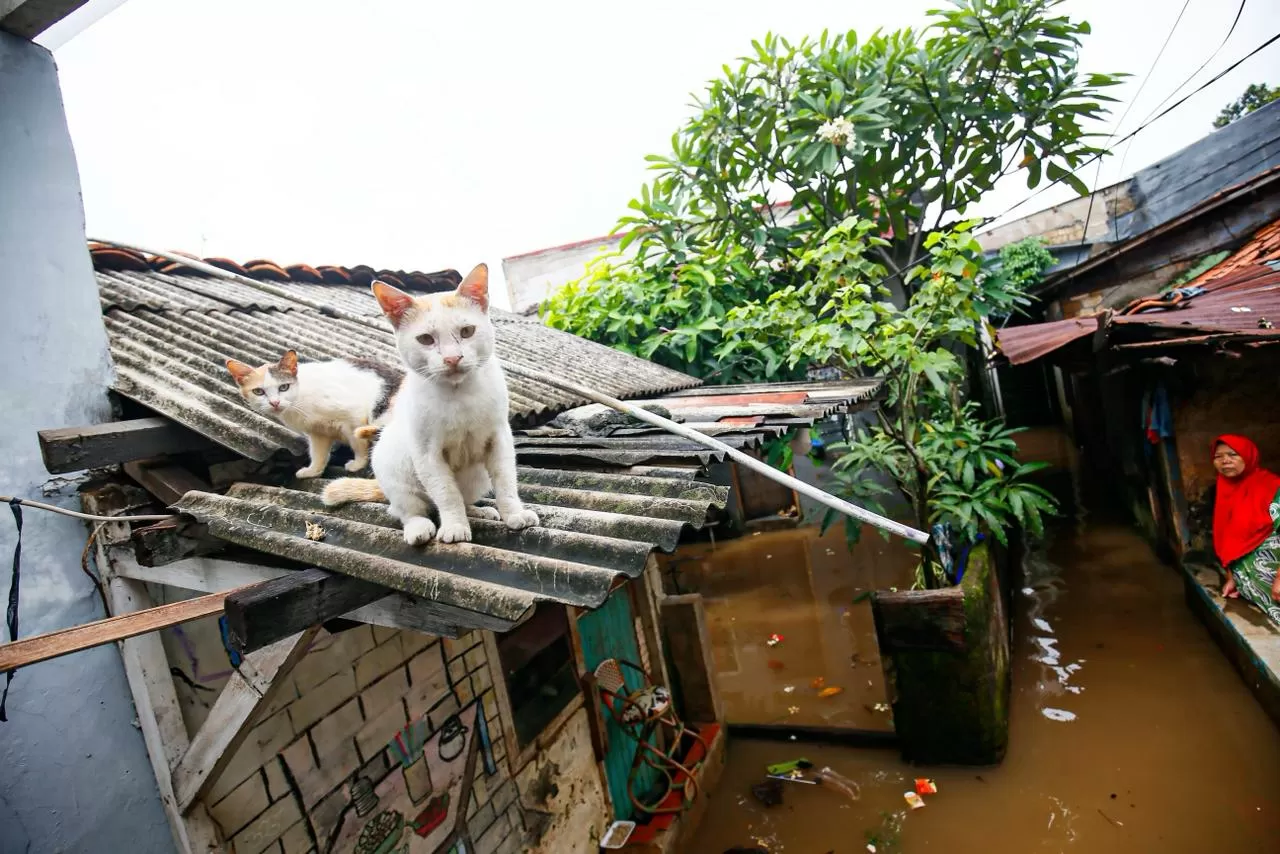 Hujan Lebat Sebabkan...