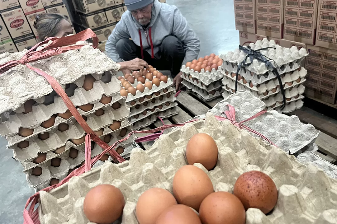Harga Telur Ayam Naik...