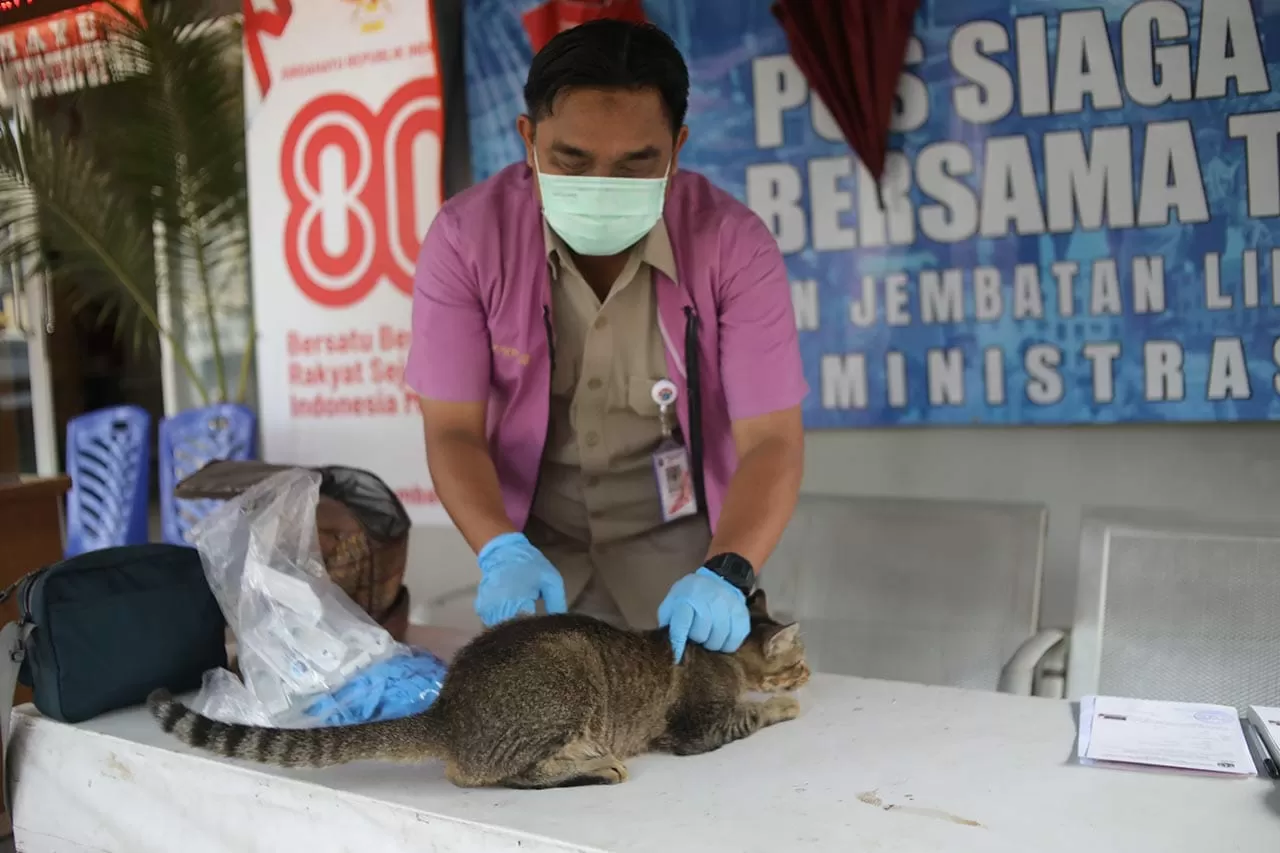 Vaksinasi Rabies Gratis...
