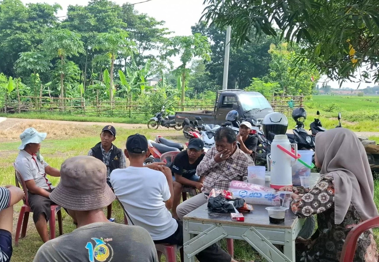 Harga Gabah Naik, Petani...