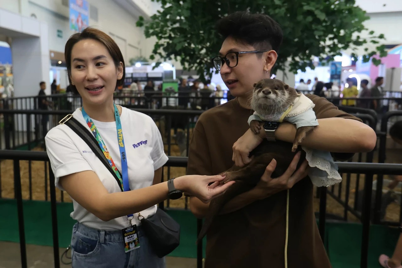 PetFest 2026 Petropolis:...