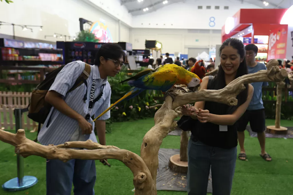 PetFest 2026 Petropolis:...