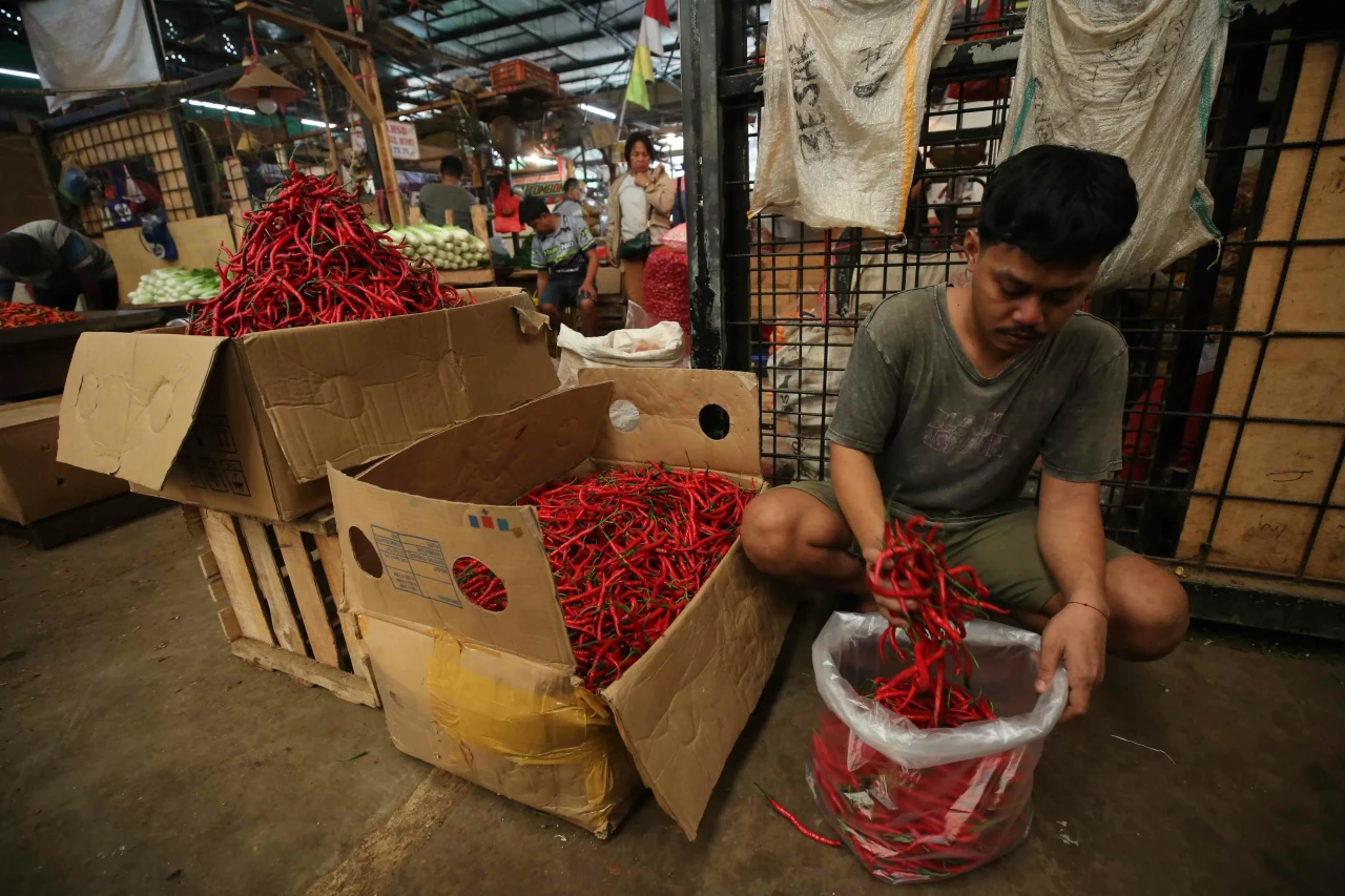 Harga Cabai Meroket...