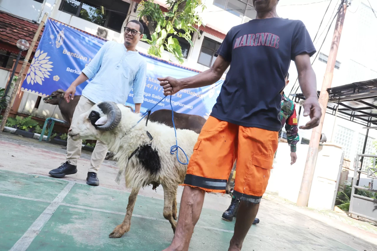 Ratusan Hewan Qurban...