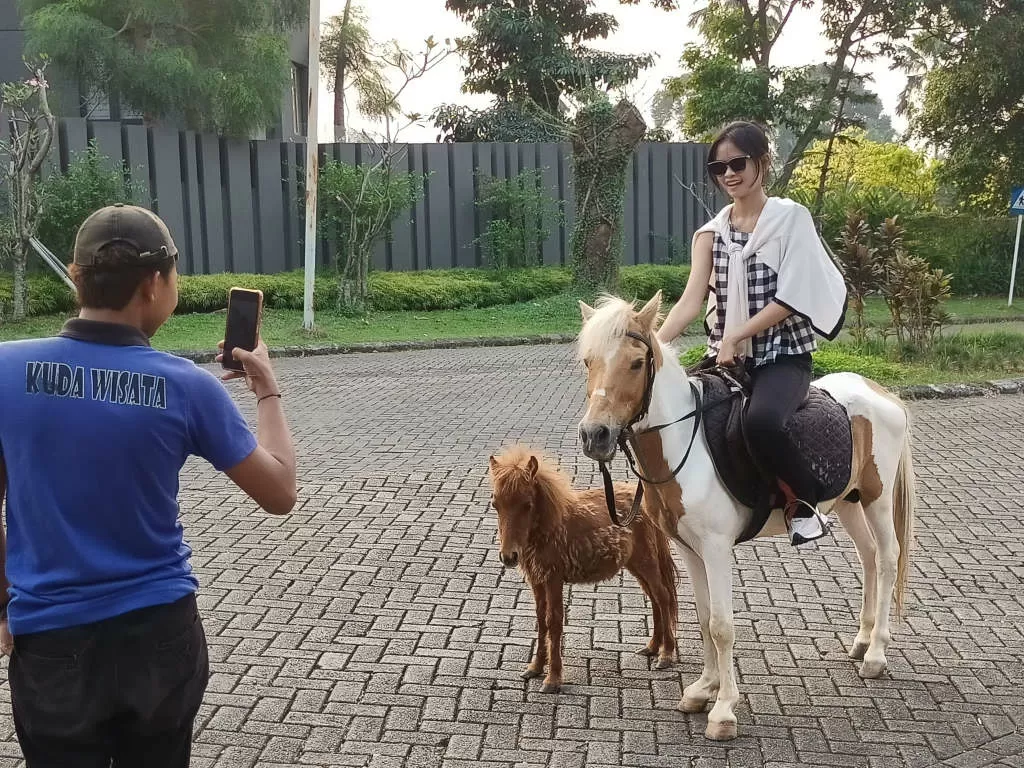Staycation Full Seru...
