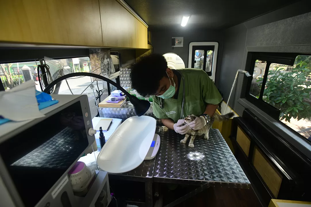Mobil Klinik Hewan Keliling