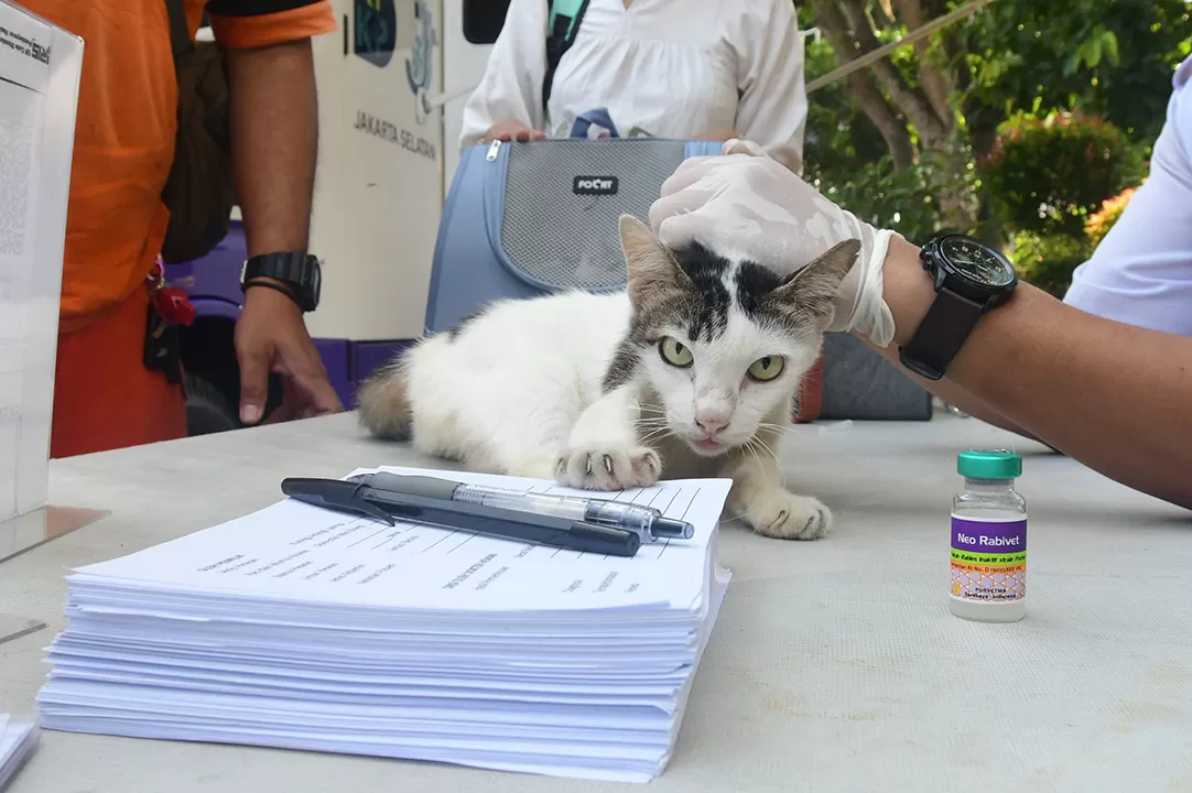 Mobil Klinik Hewan Keliling