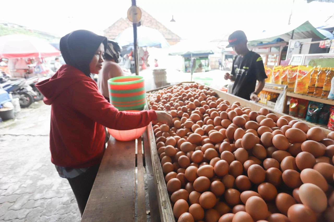 Kementan Tetapkan Harga...