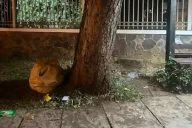 Viral Paspor Ditemukan...